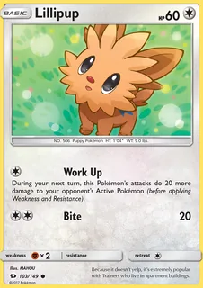 Lillipup 103/149