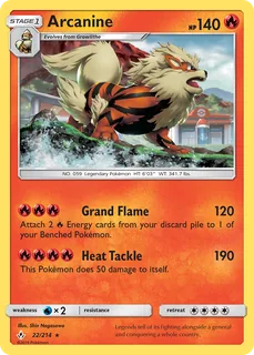 Arcanine 022/214
