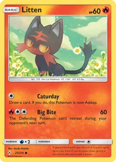 Litten 027/214