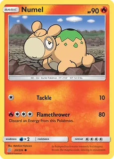 Numel 023/236