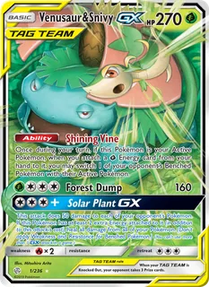 Venusaur & Snivy GX 001/236