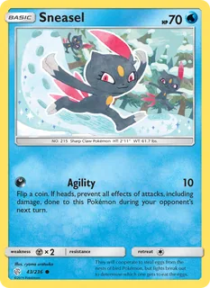Sneasel 043/236