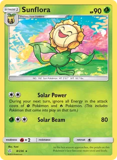 Sunflora 008/236