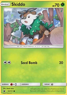 Skiddo 010/111