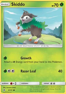 Skiddo 009/131
