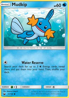Mudkip 032/168