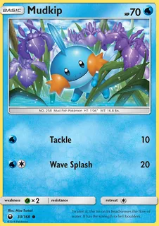 Mudkip 033/168