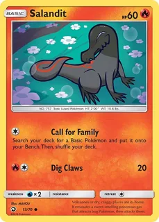 Salandit 013/70