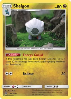 Shelgon 043/70