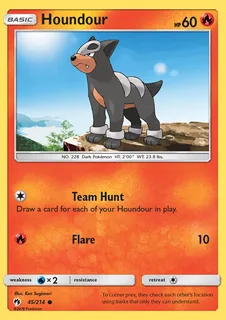 Houndour 045/214