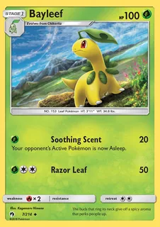 Bayleef 007/214