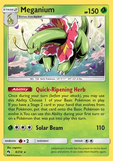 Meganium 008/214