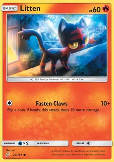 Litten 020/181