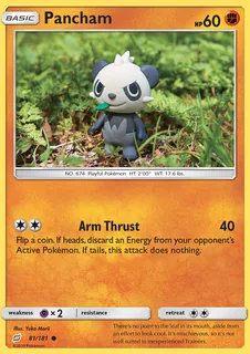 Pancham 081/181