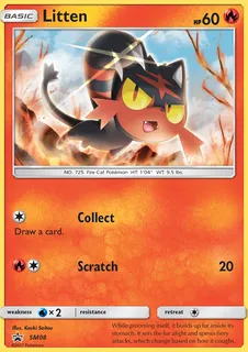 Litten SM08/248