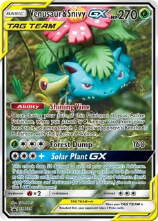 Venusaur & Snivy GX SM229/248