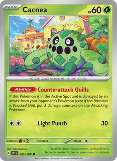 Cacnea 005/198