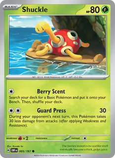 Shuckle 005/197