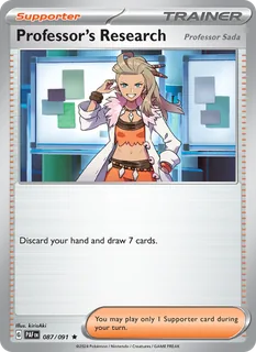Professor's Research 087/91