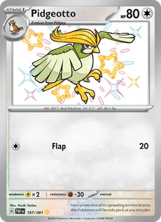 Pidgeotto 197/91