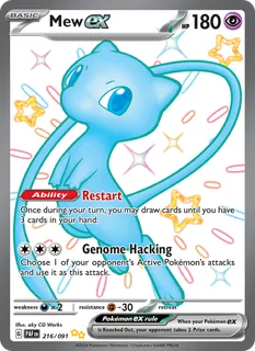 Mew ex 216/91