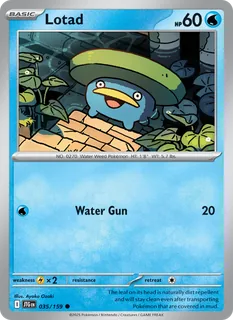 Lotad 035/159