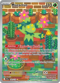 Maractus 160/159
