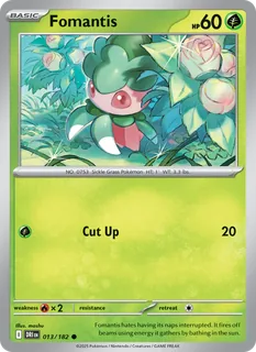 Fomantis 013/182