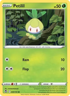 Petilil 009/195