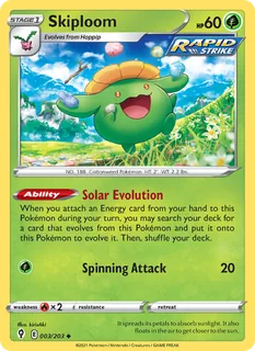 Skiploom 003/203