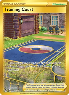 Training Court 282/264