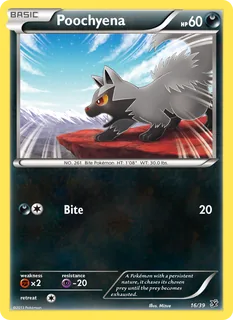 Poochyena 016/39