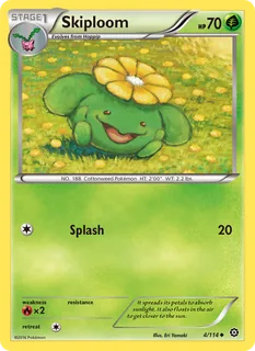Skiploom 004/114