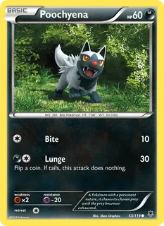 Poochyena 053/119