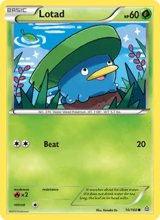 Lotad 010/160