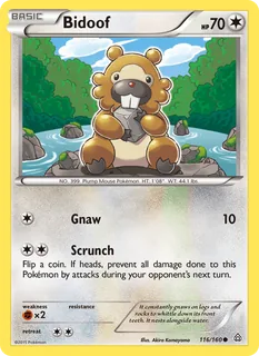 Bidoof 116/160