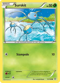 Surskit 013/160