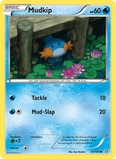 Mudkip 033/160