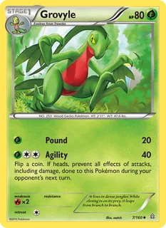 Grovyle 007/160