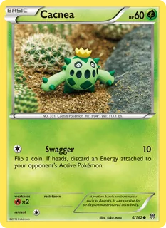 Cacnea 004/162