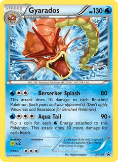 Gyarados XY109/211