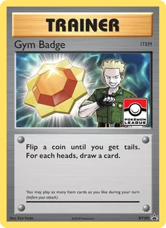 Gym Badge XY205/211