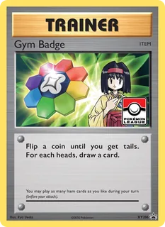 Gym Badge XY206/211