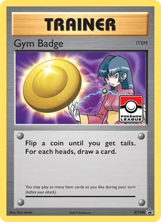 Gym Badge XY208/211