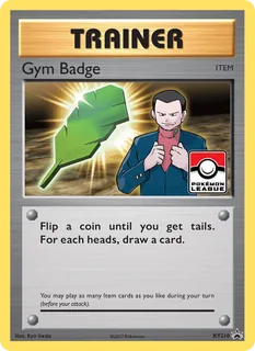Gym Badge XY210/211