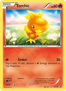 Torchic XY37/211