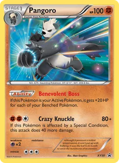 Pangoro XY50/211
